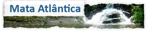 Mata Atlântica